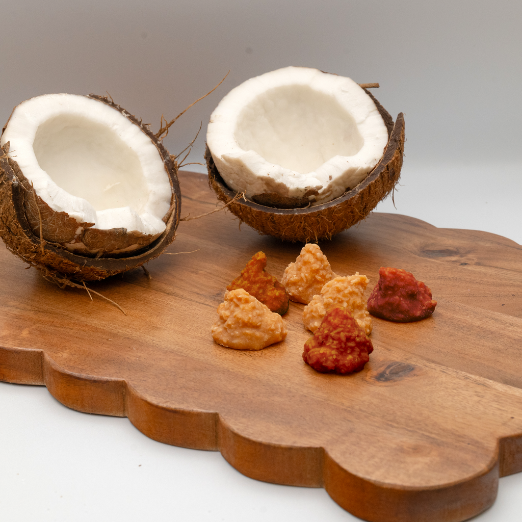 Caramel Chocolate Coconut Fudge Tips