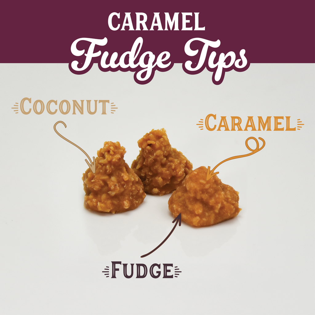 Caramel Fudge Tips